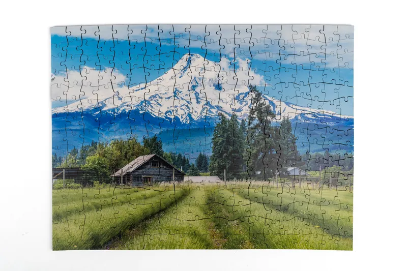 Mount Hood National Forest wooden puzzle, assembled